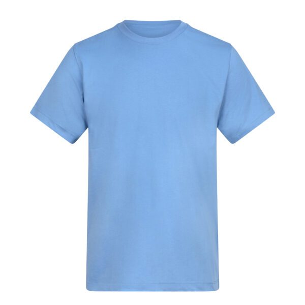 AT002 Cornflower Blue (Torso)